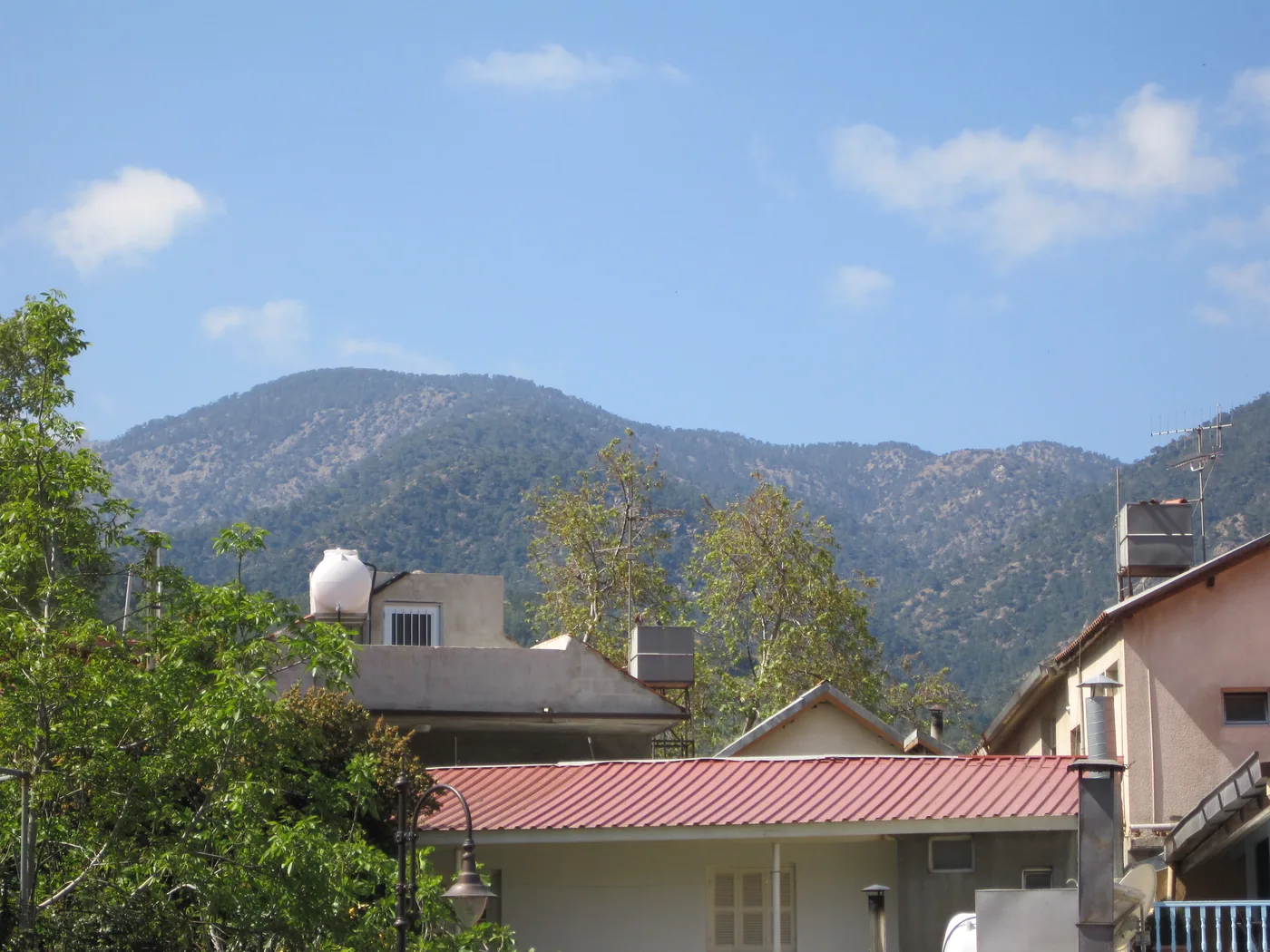 Rooftops in Kakopetria, one with a red metal roof, under a blue sky, with the pine-covered ridge of the Troodos behind.