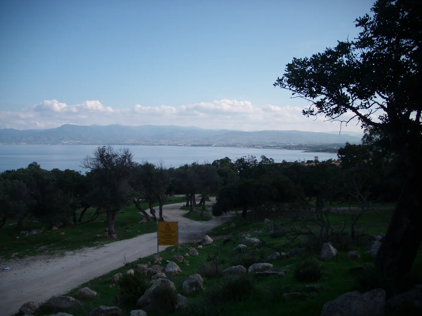 A dirt track through olive trees on a slope above the sea, looking across the bay towards Latchi, with a long line of hills on the far shore.